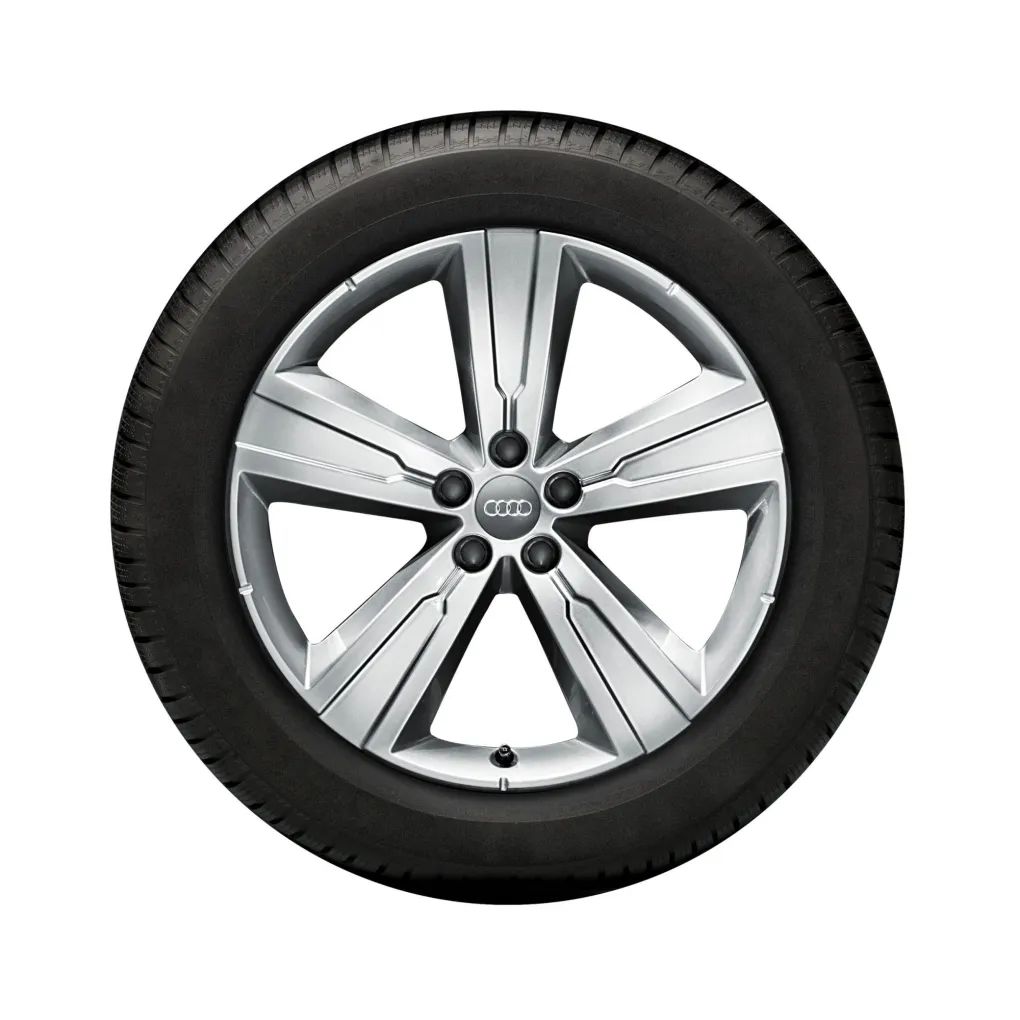 Audi Winterkompletträder 5-Arm-Crena-Design 20", Bridgestone