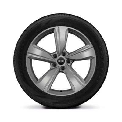 Audi Winterkompletträder 5-Arm-Desing 19", Continental