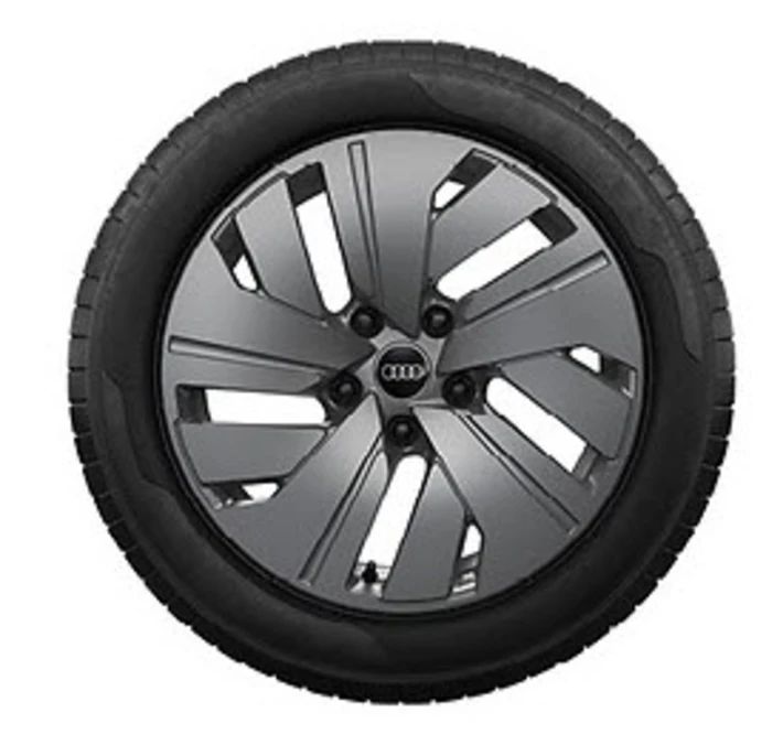 Audi Winterkompletträder 5-Arm-Dynamik 19", Pirelli